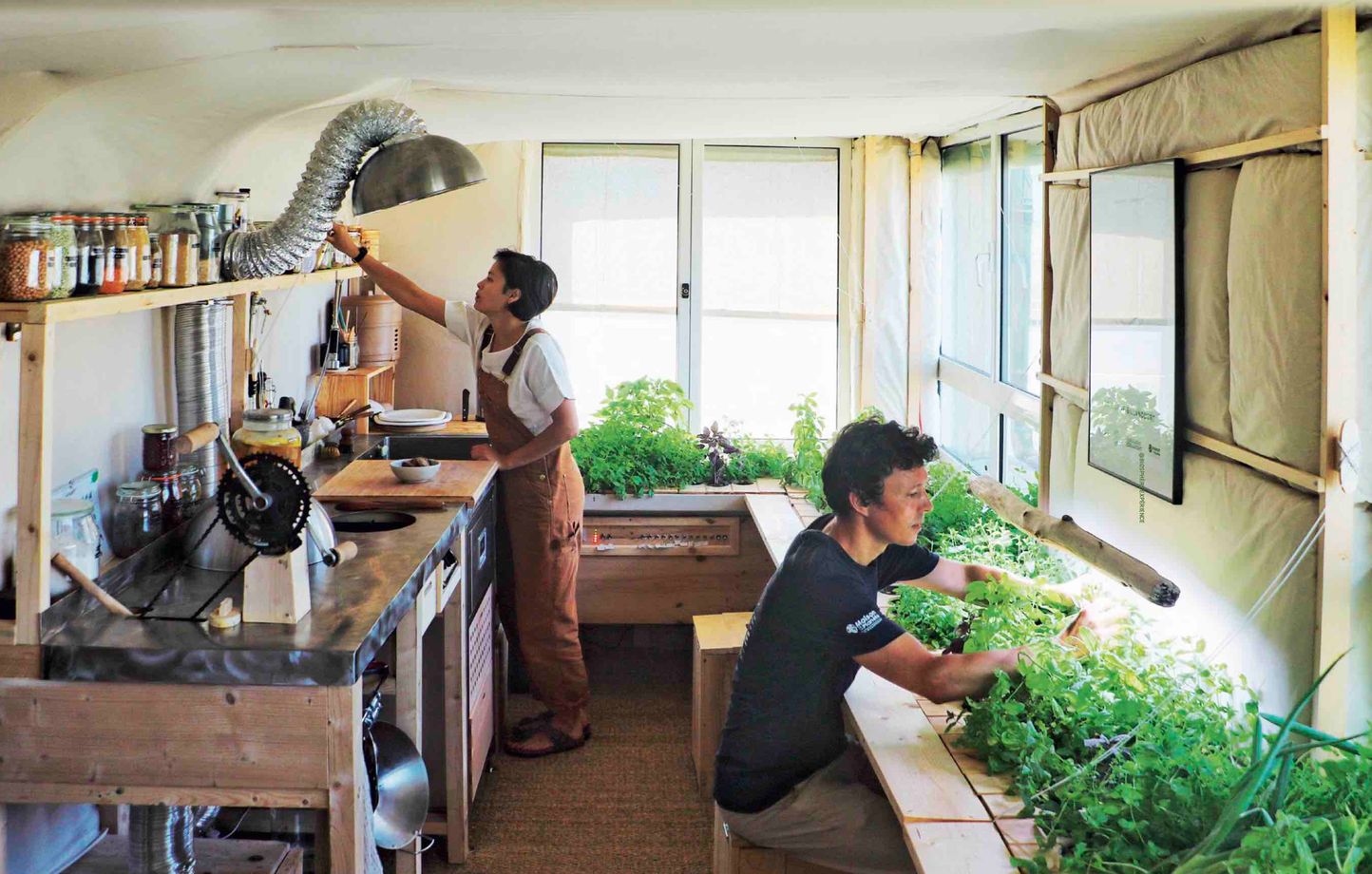 L'image de couverture du livre "L'appart du futur" de Corentin de Chatelperron. On y voit deux personnes dans un appartement lumineux. À gauche une femme est penchée vers une étagère au dessus d'un comptoir minimaliste, et à droite un homme s'occupe de plantes qui poussent tout le long des fenêtre de l'appartement. - Arte.tv